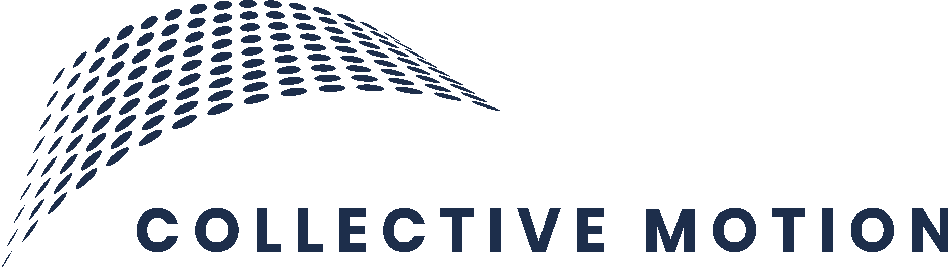Collective Motion